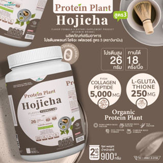 Protein Plant โปรตีนแพลนท์ สูตร 3 ( รสโฮจิฉะ ) ปริมาณ 900 กรัม/กระปุก โปรตีนพืช ออเเกรนิค คอลลาเจนเปปไทด์ แอลกลูต้าไธโอน