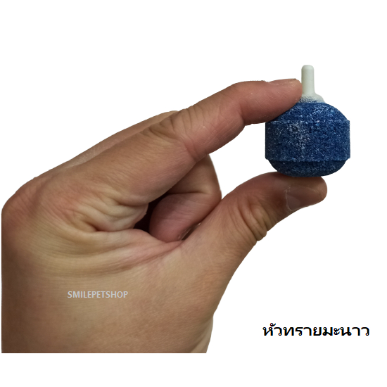 หัวทรายสำหรับกระจายฟองอากาศ (ช่วยกระจายฟองอากาศ สำหรับต่อกับสายยางปั๊มลมเลี้ยงปลา)