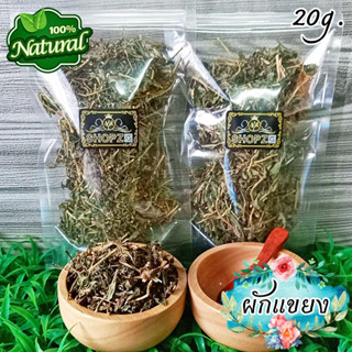 🍃ผักอบแห้ง🍃 ผักแขยง อิออม กะออม กะแยง ผักแขยงอบแห้ง ขนาด 20 กรัม Dried Rice Paddy Herb