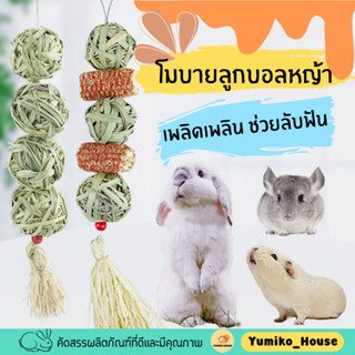 โมบายลับฟันลูกบอลหญ้า ซังข้าวโพด ของเล่นกระต่าย สัตว์ฟันแทะ.