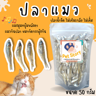 ปลาแมว ขนมแมว ไม่เค็ม ปลอดภัยต่อไต ขนาด 50 กรัม สดใหม่ Pet Story