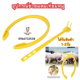 ตัวช่วยผสมเทียมหมู ชุดอุปกรณ์ผสมเทียมหมู A.I. Buddy สำหรับการผสมเทียมสุกร คลิปจับผสมเทียม