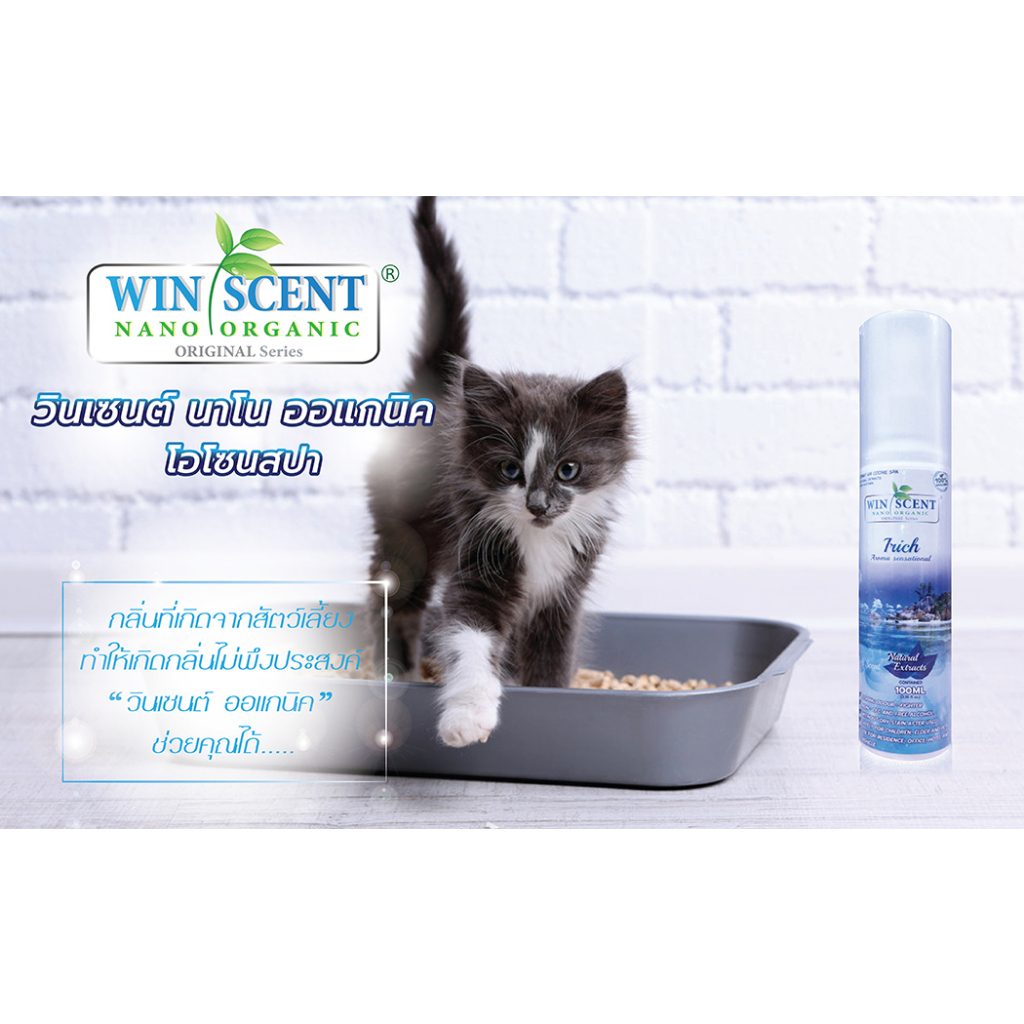 Winscent สเปรย์น้ำหอม สเปรย์ปรับอากาศในรถยนต์ สเปรย์ดับกลิ่น กลิ่นไอริช (Irich) 100ml