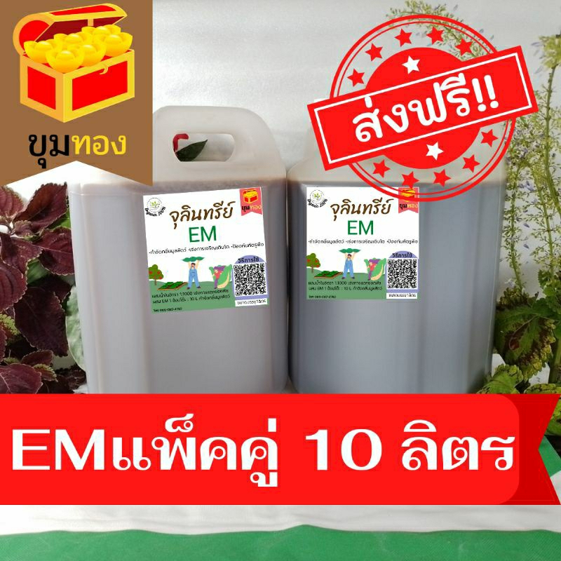 หัวเชื่อEM.เข้มข้นแท้100%   แพ็คคู่ 10 ลิตร หัวเชื้อจุลินทรีย์ชีวภาพอีเอ็ม  บำบัดน้ำเสีย  ดับกลิ่นส้วม(ขอบิลแจ้งก่อนส่ง)