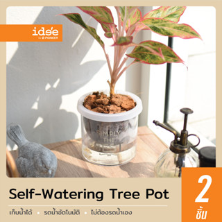 idee [2 PCS] กระถางต้นไม้รดน้ำอัตโนมัติ ขนาด 4 นิ้ว ทรงเตี้ย รุ่น Self-watering (PN628A) กระถางต้นไม้พลาสติก