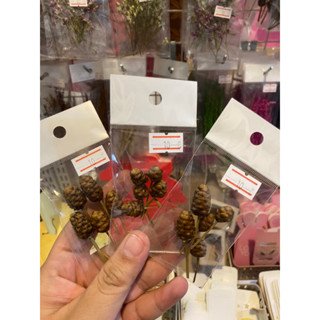 ดอกกระถินทุ่ง 10 บาท