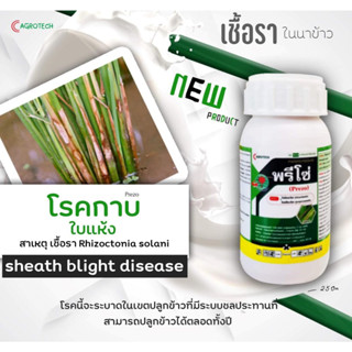 สารป้องกันกำจัดโรคพืชพรีโซ่ (ไตรไซคลาโซล+โพรพิโคนาโซล) ขนาด 250cc