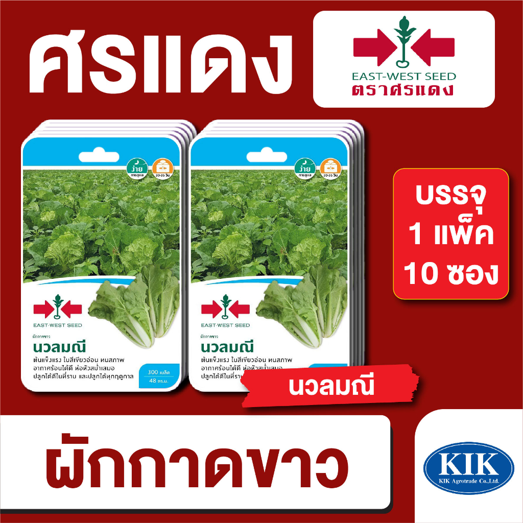 เมล็ดพันธุ์ ผักซอง ศรแดง ผักกาดขาวปลี นวลมณีGG OP บรรจุแพ็คละ 10 ซอง