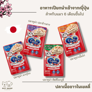 (ยกโหลคละรสได้) Ginno Cat Gourmet กินโนะ อาหารแมวแบบเปียก 60 g (โหล 12 ซอง)