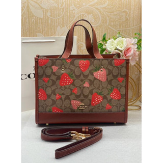 CH325 Coach DEMPSEY CARRYALL