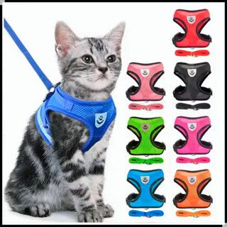 สายจูงแมว สายจูงสุนัข ชุดรัดอกสีพื้น สายจูง เชือกจูงสุนัข Harness Leash ฟรีสายจูงยาว