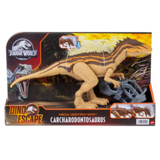 Mattel Jurassic World Mega Destroyers Carcharodontosaurus (HBX39) ของเล่นแอ็กชั่นฟิกเกอร์ไดโนเสาร์ คาร์คาโรดอนโทซอรัส