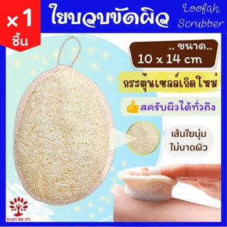 ใยบวบขัดผิว มีสายคาด 1 ชิ้น Loofah Scrubber ใยบวบ ขัดผิวกาย ขัดตัว อ่อนโยนต่อผิว ใยบวบ จากธรรมชาติ บวบ ขัดผิว สครับผิว