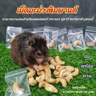 เม็ดมะม่วงหิมพานต์อบ ( 1 เม็ด ) สำหรับนกแก้วกลาง-ใหญ่ หนูต่างๆ กระรอก ชูการ์ ดอร์เมาส์ (เม็ดมะม่วง 1 เม็ด)