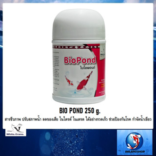 BIO POND 250 g.(ไบโอพอนด์ สารชีวภาพ ปรับสภาพน้ำ ลดของเสีย ไนไตรต์ ไนเตรต ได้ผลรวดเร็ว ช่วยป้องกันโรค กำจัดน้ำเขียว)