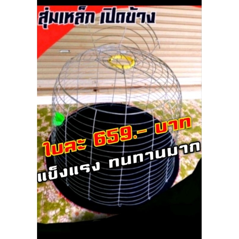 #สุ่มไก่ชนแสนเก่ง #สุ่มเหล็กเปิดข้าง #สุ่มไก่ #สุ่มเปิดข้างแข็งแรงทนทาน