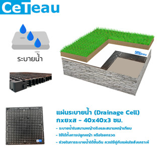 แผ่นระบายน้ำ (Drainage Cell)