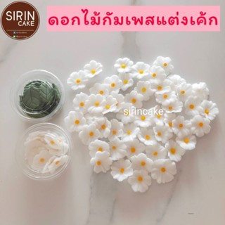 (พร้อมส่ง)🌸ดอกไม้สีขาว กินได้ ใช้แต่งเค้ก 10 ชิ้น