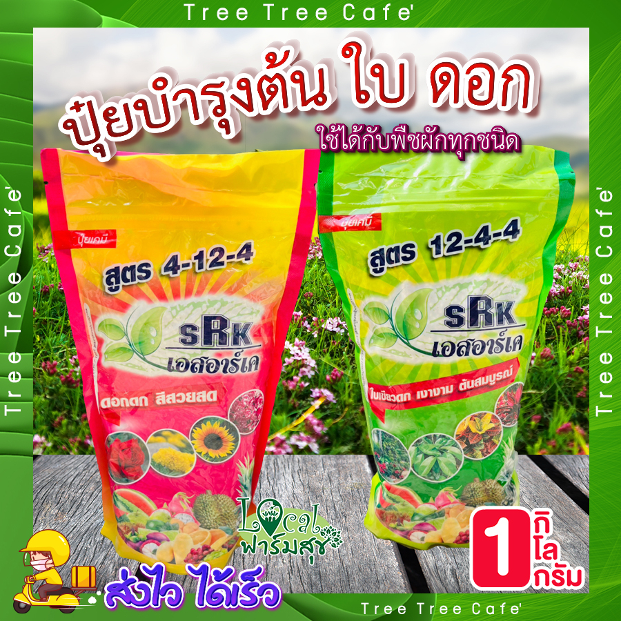 ปุ๋ยเร่งต้น เร่งดอก 🍂 ปุ๋ยบำรุงต้น 12-4-4 ปุ๋ยเร่งดอก 4-12-4 ใบเขียวดก ต้นแข็งแรง ดอกดก สีสวย ใช้กับ