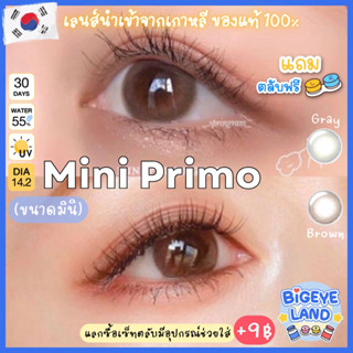 คอนแทคเลนส์ Mini Primo Gray / Brown (Kitty Kawaii) ขนาดมินิ 🌷 เนียน ธรรมชาติ ขายดีมาก