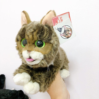 🛒 ตุ๊กตาแมว Lil Bub หายาก ลิขสิทธิ์แท้🇯🇵