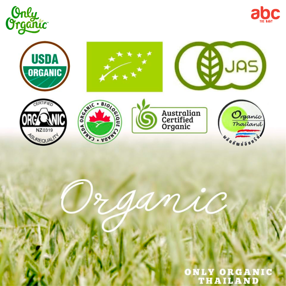 Only Organic อาหารเด็ก รสกล้วย บลูเบอรี่ & ควีนัว Banana Blueberry & Quinoa สำหรับเด็ก 6 เดือนขึ้นไป (แพ็ค 2 ห่อ) รูปที่ 8