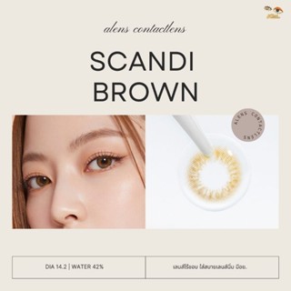 New✨️Scandi brown | มีค่าสายตา