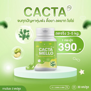 Cacta SOS Mellow แคคต้า โซเอส เมลโล่