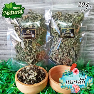 🍃ผักอบแห้ง🍃 ใบแมงลัก ผักอิตู่ ใบแมงลักอบแห้ง ขนาด 20 กรัม Dried Hairy Basil Leaves