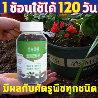 🌱ชนิดเร่งดูดซึมไว🌱ปุ๋ยเร่งโตเร็ว เร่งกระตุ้นพืชโตเร็ว100ซีซี เร่งโตไว เร่งราก เร่งต้นใบ ปุ๋ยบำรุงต้นใบ ปุ๋ยเกล็ดทางใบ ปุ