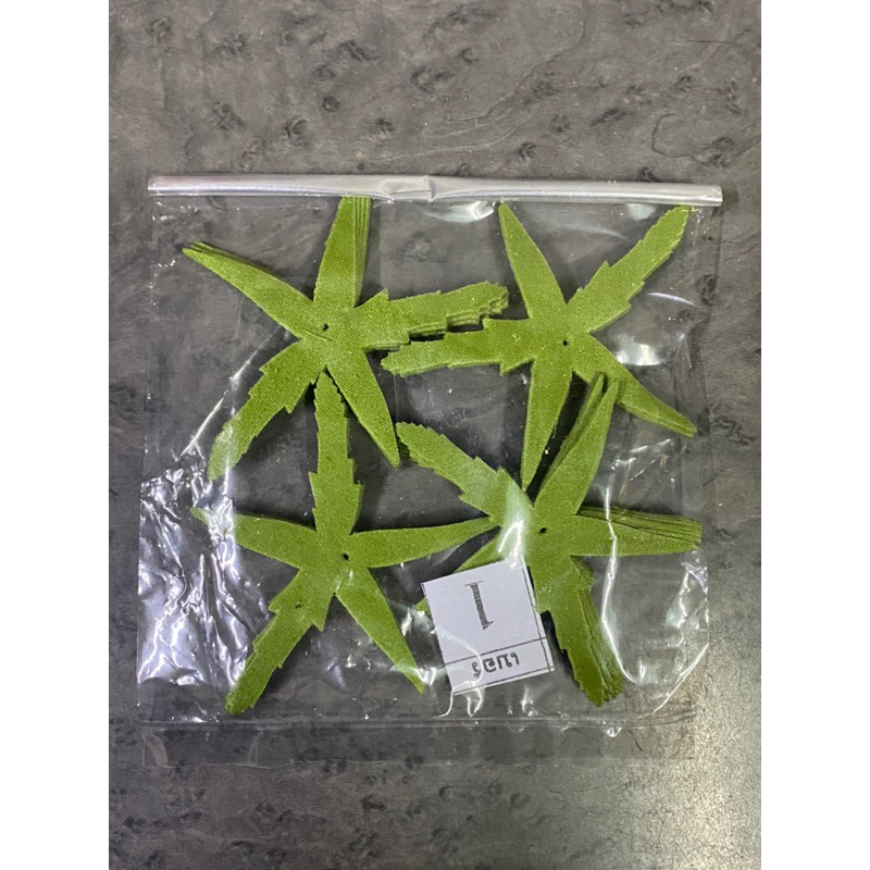 รูปภาพ 5