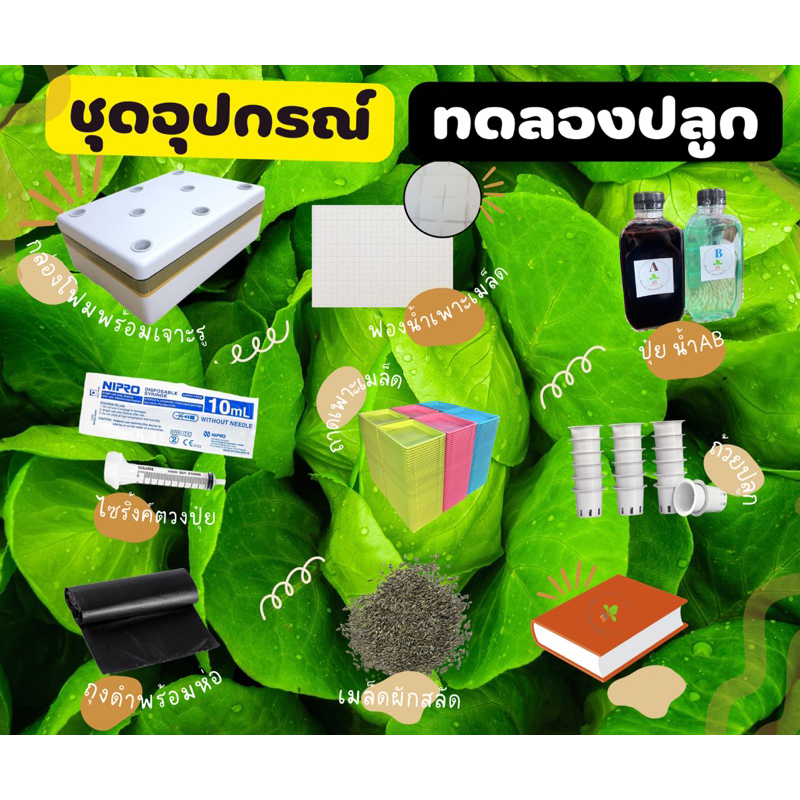 🥬  ชุดกล่องโฟมปลูกผักสลัดไฮโดรโปนิกส์ ระบบน้ำนิ่ง กล่องโฟมขนาด รวมอุปกรณ์พร้อมปลูก🥬