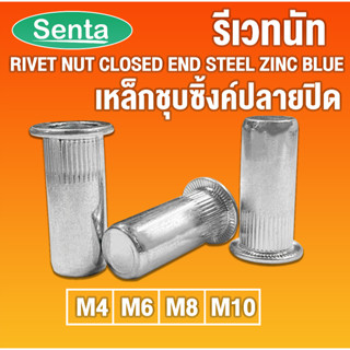 รีเวทนัท น็อตรีเวท ปลายปิด รีเวทนัทเหล็กชุบซิ้งค์ รีเวทนัทปลายปิด M4 M6 M8 M10 Rivet Nut Closed End Steel Zinc Blue