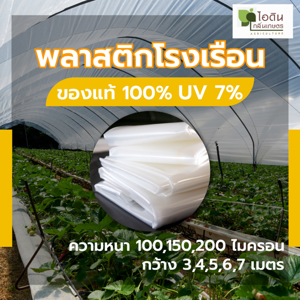 พลาสติกคลุมโรงเรือน พลาสติกโรงเรือน หน้ากว้าง 3 ,4 ,5 , 6 , 7 เมตร หนา 100 , 150 , 200 ไมครอน UV 7 %