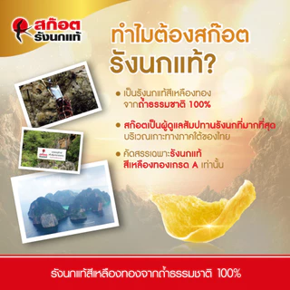Scotch สก๊อต รังนกแท้ รอเยล โกลด์ น้ำตาล 0% 70 มล. (แพ็ก 12 ขวด) จำนวน 2 แพ็ก จัดส่งฟรี!! 燕窝 Bird's nest