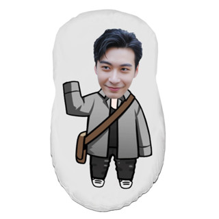 ตุ๊กตา ตุ๊กตาไดคัท ตุ๊กตารูปคน หมอนตุ๊กตา ตุ๊กตาไอดอล ตุ๊กตาไอดอลผู้ชาย เฉินซิงซวี่ Chen Xingxu ดาวตกก่อเกิดรัก ดาราจีน
