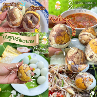 ไข่ฮ้างฮัง 1ฟอง17บาท🔸ไข่ดิบไข่เวียดนาม 🐣ไข่เป็ดลูกเวียดนามระยะ1-2กำลังพอดีกิน🦆ไข่-เป็ด-ลูกเวียดนามถูกสุด