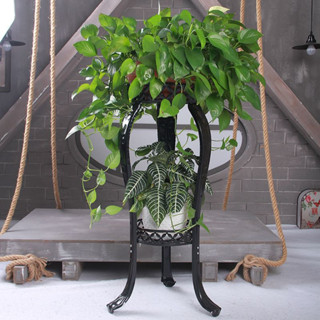 Plant display stand ชั้นวางกระถางดอกไม้ เหล็ก 2 ชั้น 31x31x82 cm สีดำ ST0531-24BL