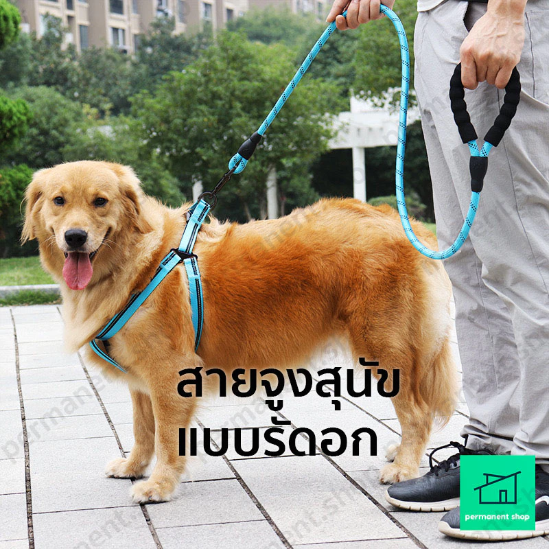 สายจูงสุนัข แบบรัดอก คล้องมือ เรืองแสง เดินกลางคืน