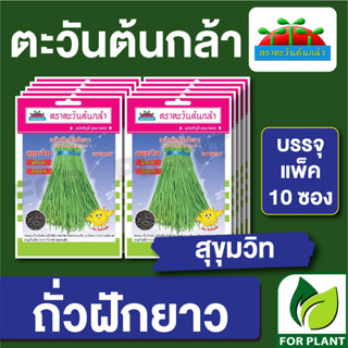 เมล็ดพันธุ์ ผักซอง ถั่วฝักยาว สุขุมวิท ตราตะวันต้นกล้า บรรจุแพ็คล่ะ 10 ซอง ราคา 64 บาท