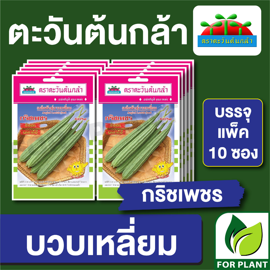 เมล็ดพันธุ์ ผักซอง บวบเหลี่ยม กริชเพชร ตะวันต้นกล้า SP บรรจุแพคล่ะ 10 ซอง ราคา 64 บาท