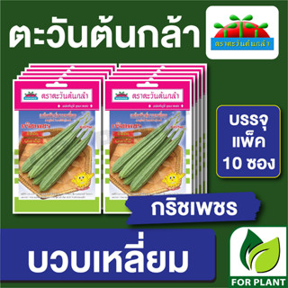 เมล็ดพันธุ์ ผักซอง บวบเหลี่ยม กริชเพชร  ตราตะวันต้นกล้า บรรจุแพคล่ะ 10 ซอง ราคา 64 บาท