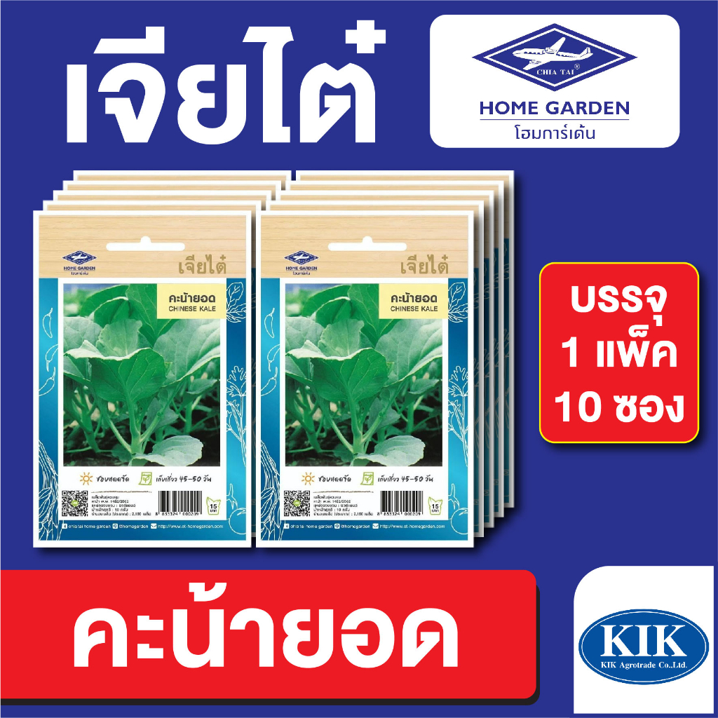 เมล็ดพันธุ์ ผักซอง คะน้ายอด ตราเจียไต๋ CT15 บรรจุแพ็คละ 10 ซอง
