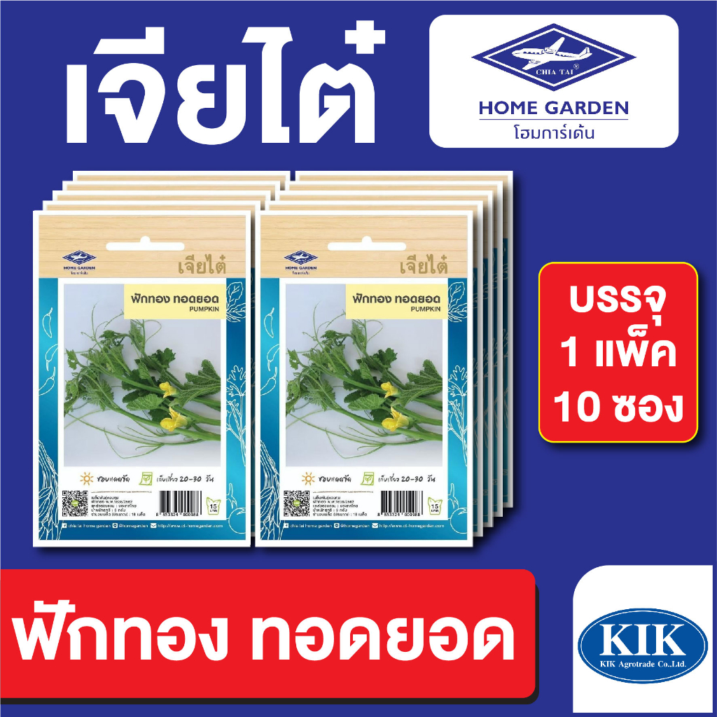 เมล็ดพันธุ์ ผักซอง ฟักทอง ทอดยอด ตราเจียไต๋ CT15 บรรจุแพ็คละ 10 ซอง