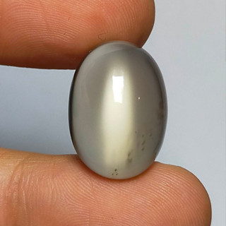 พลอย หลังเบี้ย มูนสโตน มุกดาหาร สีเทา ธรรมชาติ ดิบ แท้ ( Unheated Natural Moonstone ) 17.06 กะรัต