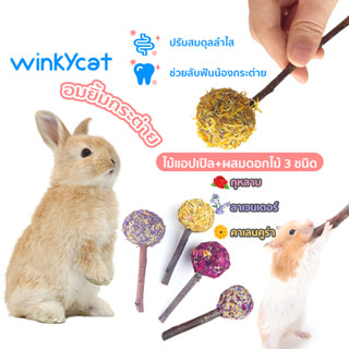 Winky Wink ขนมสัตว์ฟันแทะ คุกกี้กระต่าย ขนมกระต่าย อมยิ้มหญ้าแห้ง สำหรับสัตว์ฟันแทะ กระต่าย ชินชิล่า