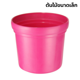 กระถางต้นไม้พลาสติก กระถางเล็ก Plastic flowerpot กระถางต้นไม้ กระถางไม้ประดับเล็ก กระถางเพาะชำ ขนาด 8.5ซม.11.5ซม. simple