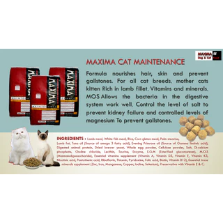 [ส่งฟรี] MAXIMA CAT MAINTENANCE 15 KG อาหารสำหรับแมว 15 กก.