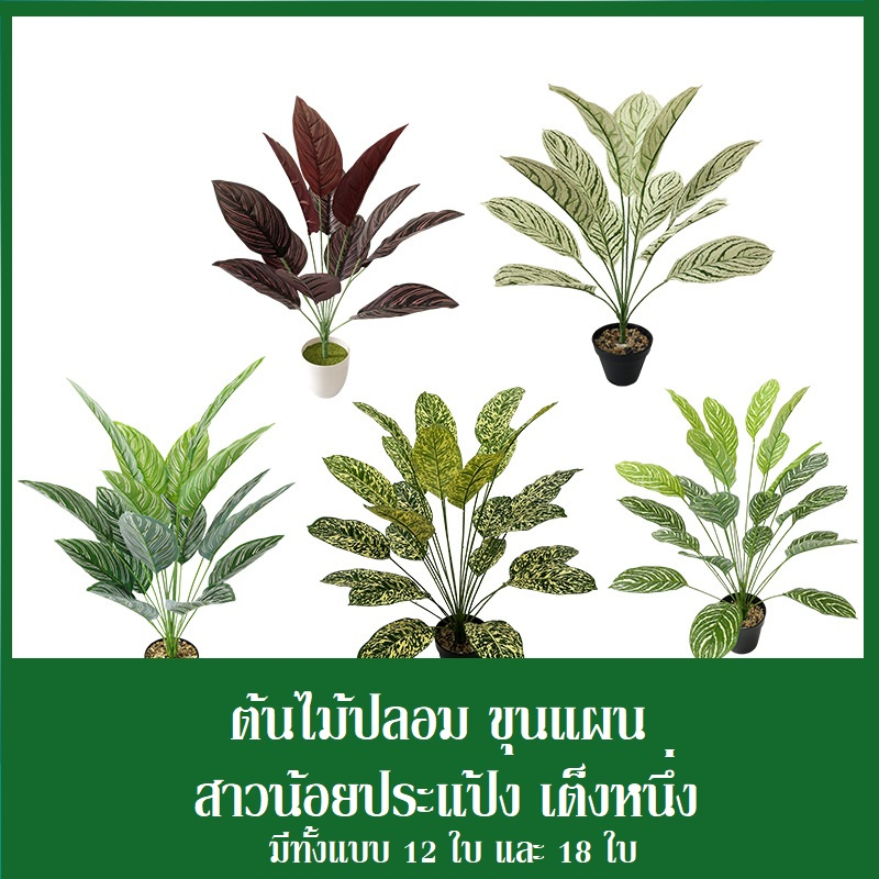TR-118*ส่งจากไทย*ต้นไม้ปลอม หลากหลายแบบ สูง65ซม. 12 ใบ, 82 ซม. 18 ใบ