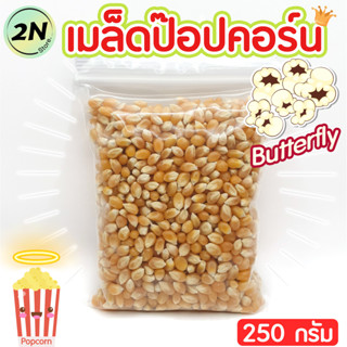 เมล็ดป๊อปคอร์นพันธุ์ผีเสื้อ (250 กรัม) 🍿คลุกผงเขย่าได้ Butterfly เมล็ดใหม่ แตกง่าย เมล็ดข้าวโพด สำหรับทำ Popcorn